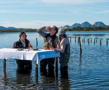Oesterkwekerij activiteit van Saffire Freycinet in Australië