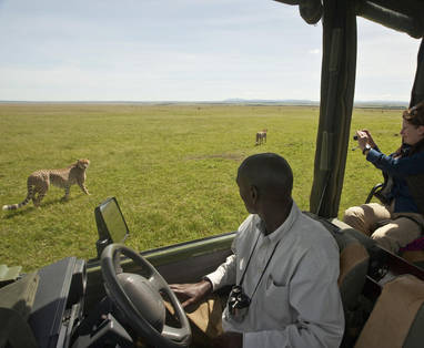 safari bij Mara Plains Camp in Kenia