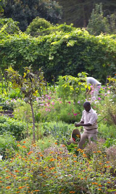 moestuin bij sirikoi lodge in kenia