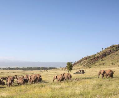 safari bij sirikoi lodge in kenia