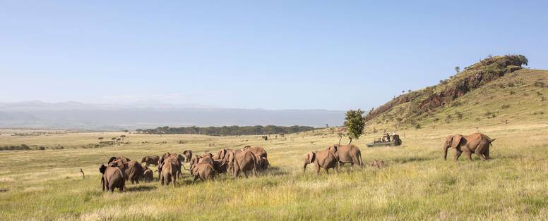 safari bij sirikoi lodge in kenia