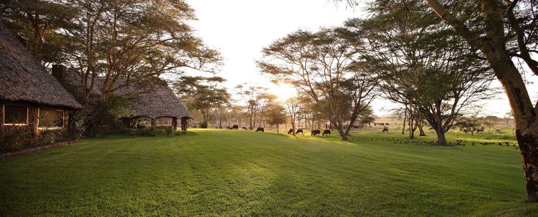 tuinen bij sirikoi lodge in kenia