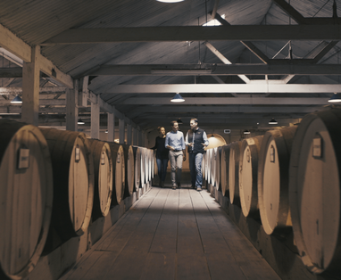 Rondleiding wijnkelder, activiteit van The Louise in Australië