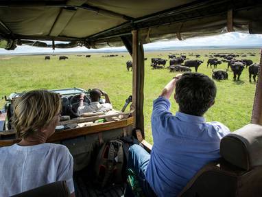 GreatPlains-Kenya-MasaiMara-18