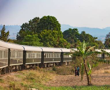 RVR-TrainPalms-HRes