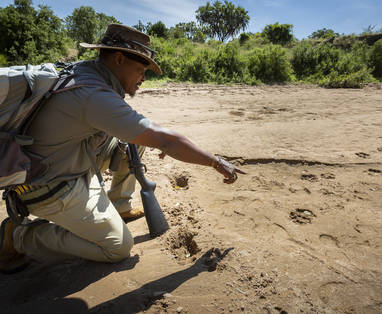 Begeleide wandeling bij Beho Beho in Tanzania