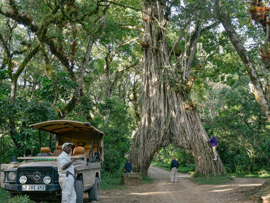 fig_tree_drive__hike-20