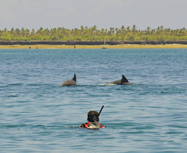 Zwemmen met dolfijnen Fanjove Island in Tanzania