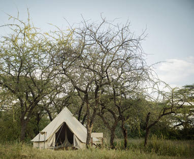 FlyCamping Tent Serian's Serengeti
