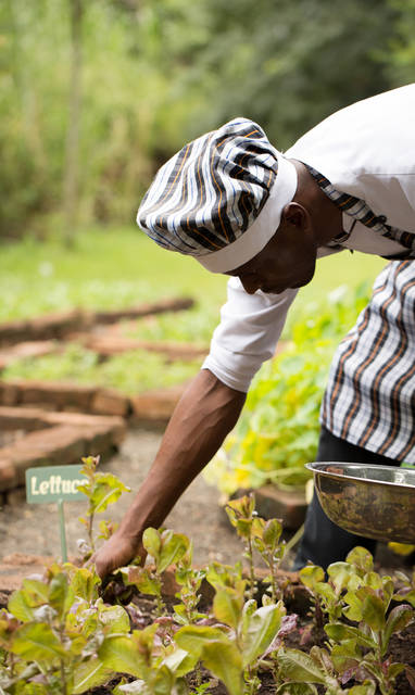 138385_Rivertrees_Country_Inn_Main_Areas_Herb_Garden