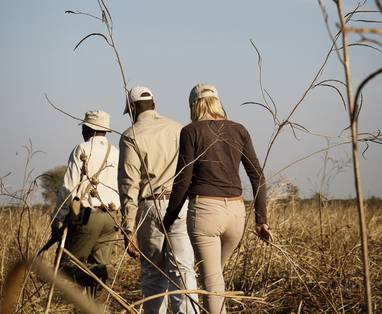 Begeleide wandelingen bij Chada Katavi in Katavi NP