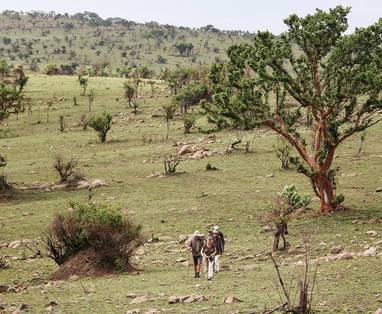Wandeling sochtends Serian's serengeti