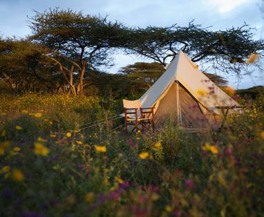 FlyCamping Tent Serian's Serengeti