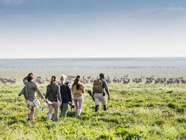 Wandelsafari wildebeest bij Nyasi Migrational Camp in Tanzania