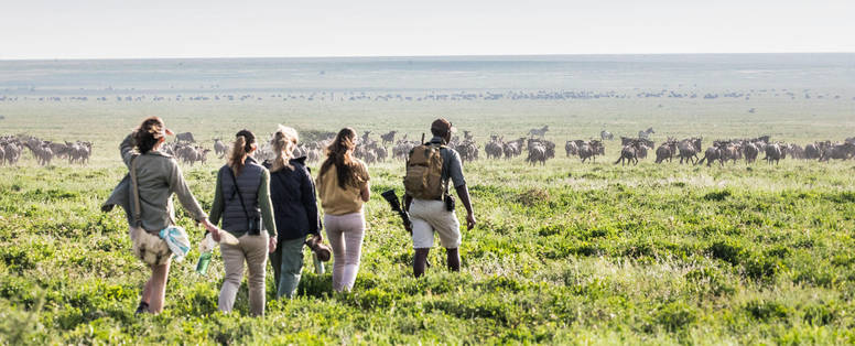 Wandelsafari wildebeest bij Nyasi Migrational Camp in Tanzania