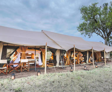 Familie tent bij Migrational Camp in Tanzania