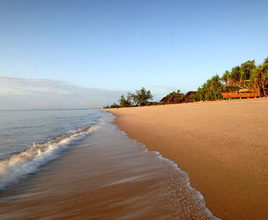 Saadani National Park | Tanzania | strand bij Saadani Lodge