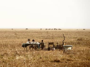 Uitzicht op olifanten bij Chada Katavi in Tanzania