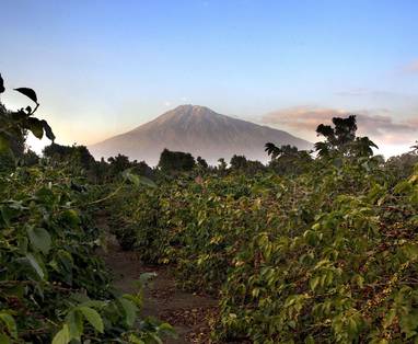 Aanzicht Mount Meru, Arusha Tanzania