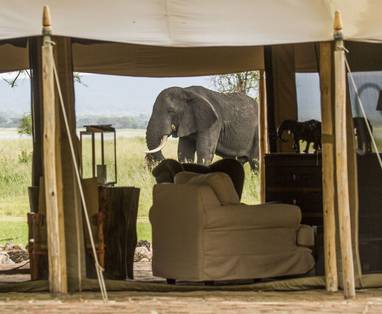 Olifanten zien vanuit je tent bij Little ChemChem in Tarangire NP
