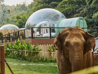 Bubble Suites bij het Anantara Golden Triangle Elephant Camp & Resort in Chaing Rai, Thailand