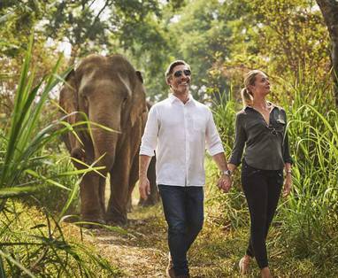 Wandeling met olifanten bij het Anantara Golden Triangle Elephant Camp & Resort in Chaing Rai, Thailand