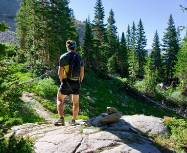 tsala_treetop_lodge_4