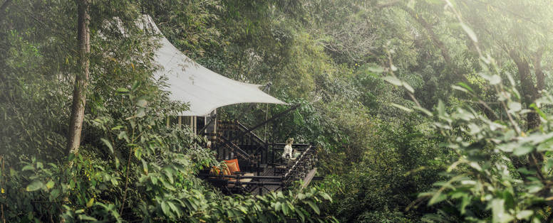 Bamboo tent bij Four Seasons Golden Triangle in Chiang Rai