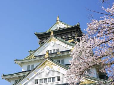 Een prachtige Japanse tempel met donkergroene dak en herfstbladeren er omheen.