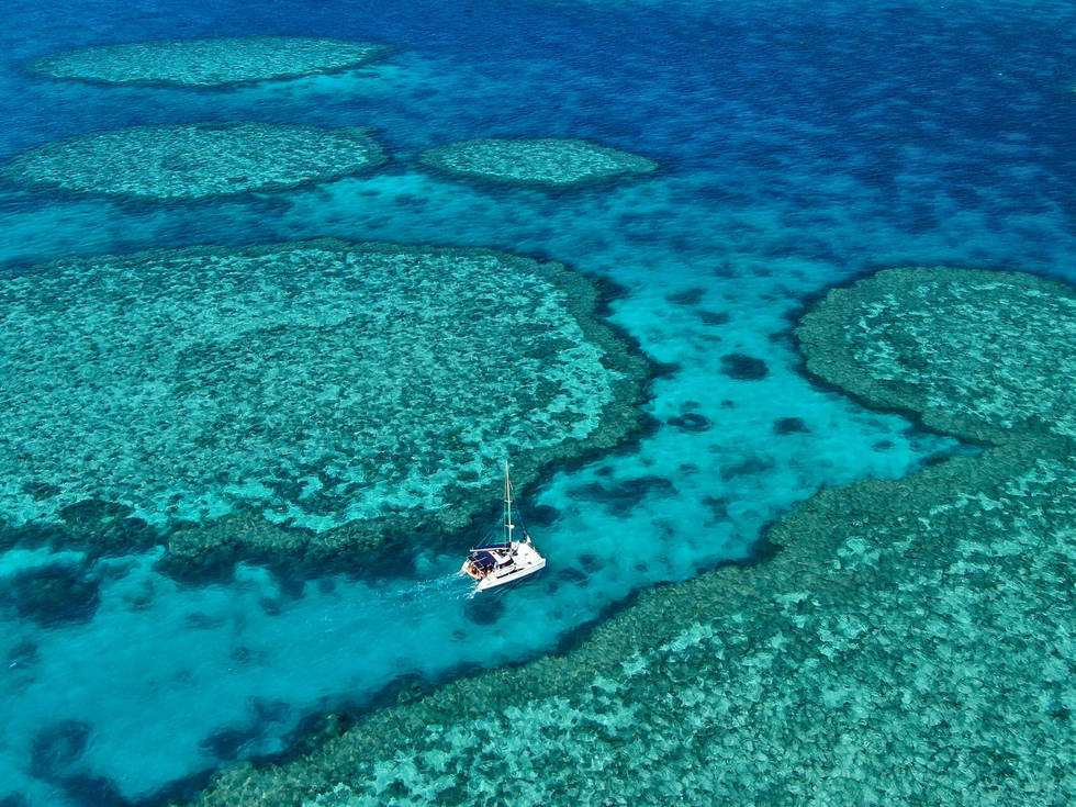 Een zeilboot vaart door het Great Barrier Reef bij Fitzroy Reef, Queensland in Australië