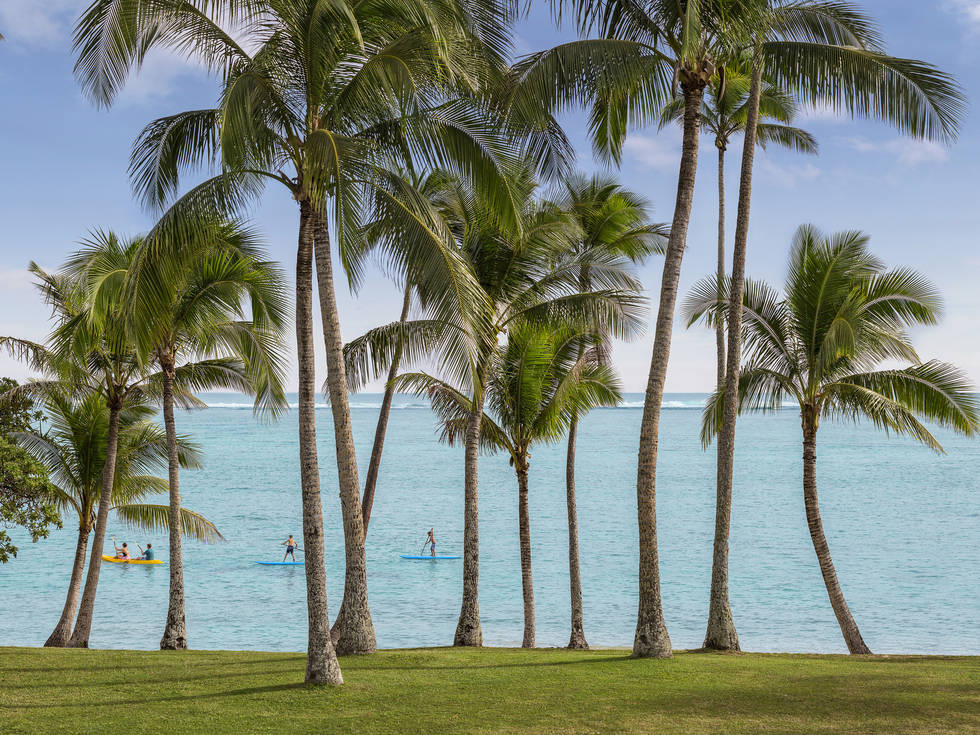 Palmbomen op Fiji met daarachter suppende mensen en de oceaan. 