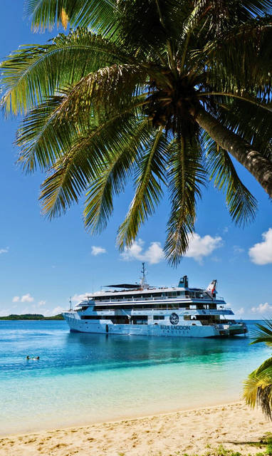 Een groot cruiseschip aangemeerd bij een tropisch strand omringd door palmbomen. 