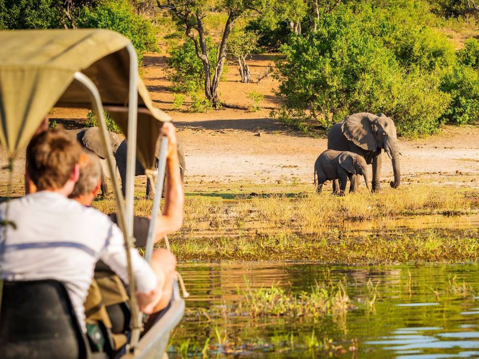 Drie olifanten bij een rivier in het Chobe National Park in Botswana en mensen die toekijken tijdens een safari. 