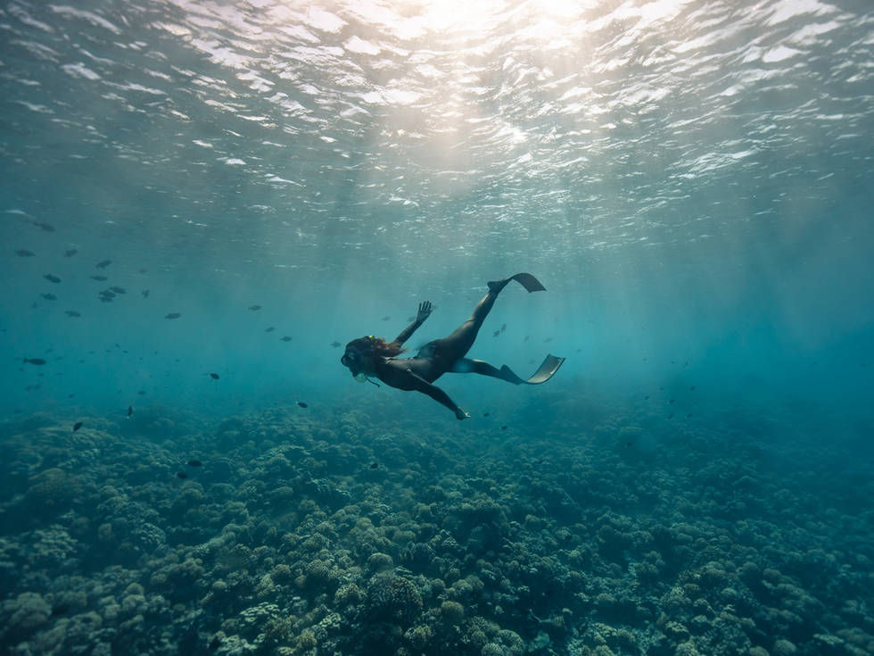 Een duikende vrouw in de oceaan van Frans-Polynesië, omringd door vissen