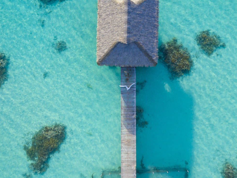 Een foto van een stijger van bovenaf gefotografeerd, omringd door helderblauwe zee, bij Frans Polynesië.