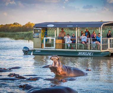 st. lucia Hippo & croc cruise