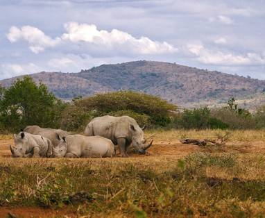 Hluhluwe-Imfolozi_Park