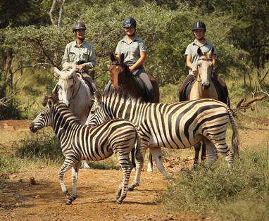 gallery_horseriding_1