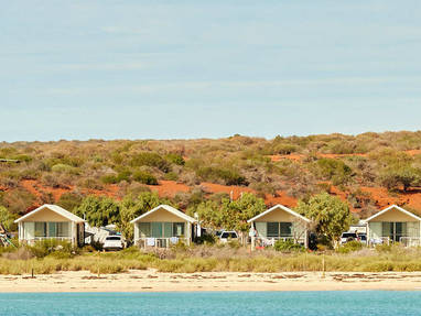 766-RAC-Monkey-Mia-240611-JWyld_groot