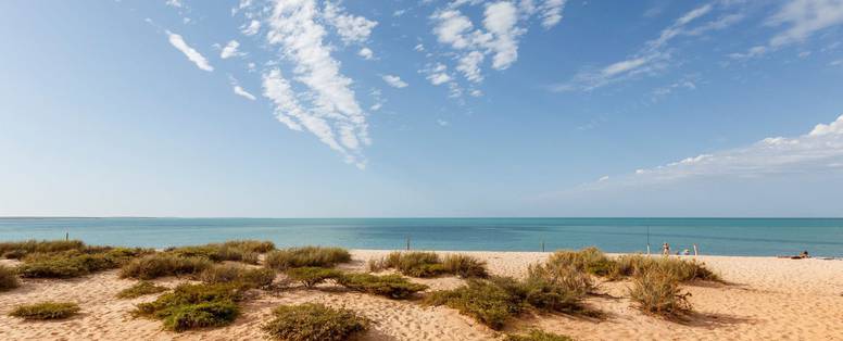 164CCWAMonkeyMia191111JWyld-scaled