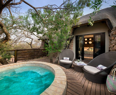 plunge pool phinda mountain lodge