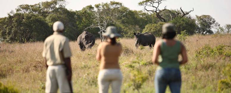 mensen kijken naar neushoorn