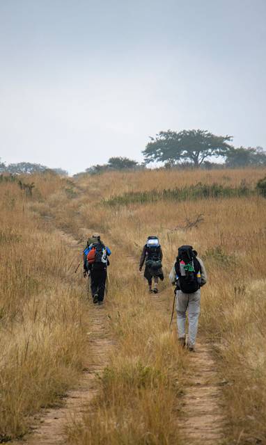wandel safari zulu rock lodge
