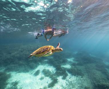 154202-2023_GLD_SGBR_HeronIsland_HeronI