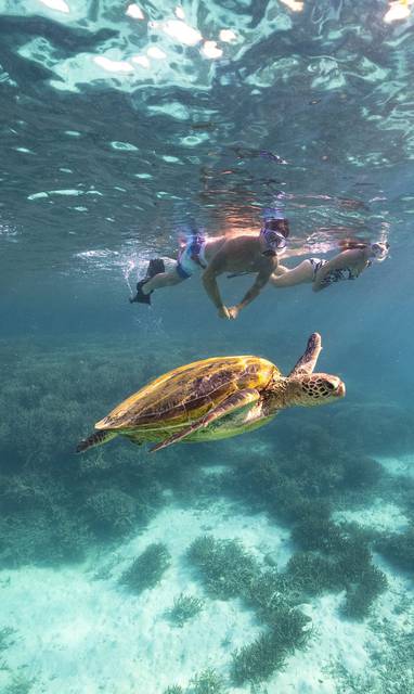 154202-2023_GLD_SGBR_HeronIsland_HeronI