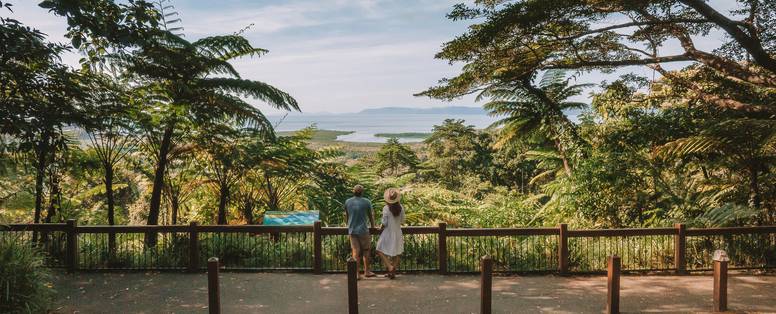 154500-2023_TNQ_DaintreeNationalPark_Ca