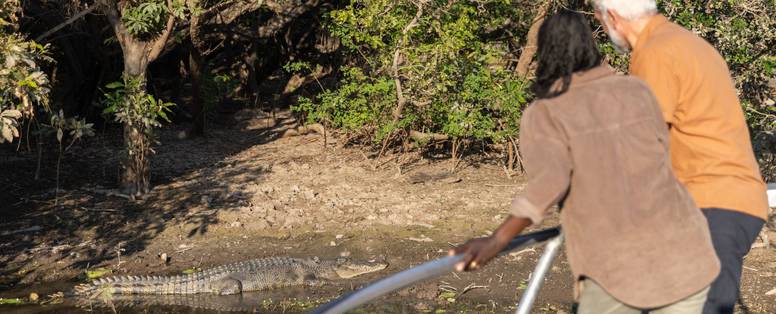 143085-Yellow_Water_Cruise__Kakadu-56