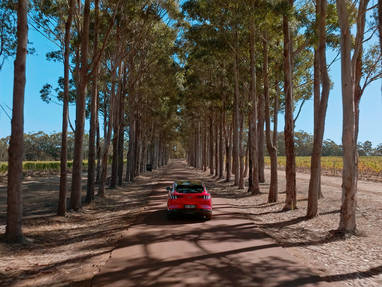 auto tussen wijnvelden