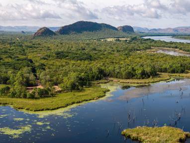 natuur bij kununnura 