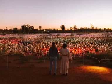 142034-Field_of_Light_art_installation_-56